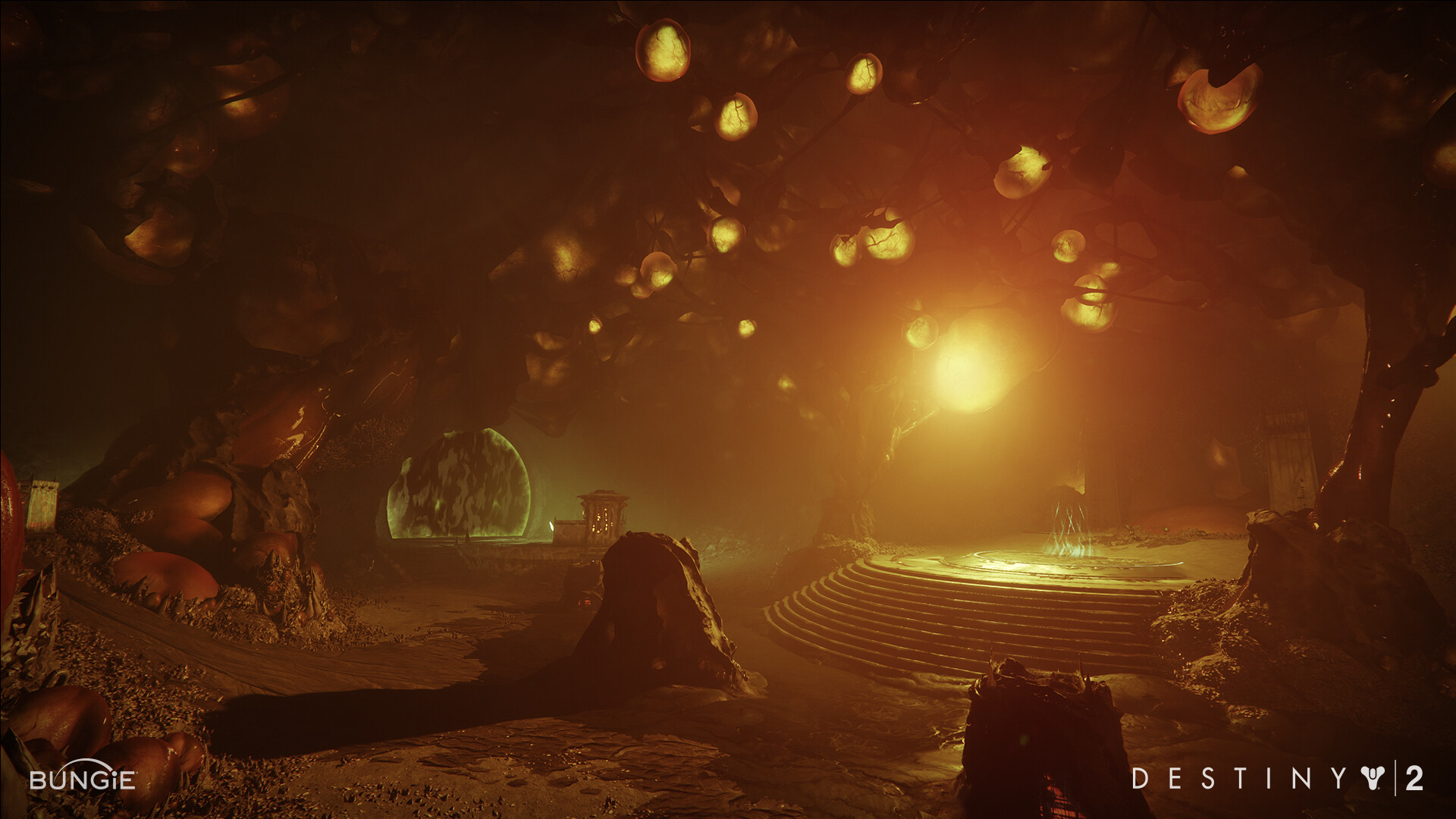 Last Wish